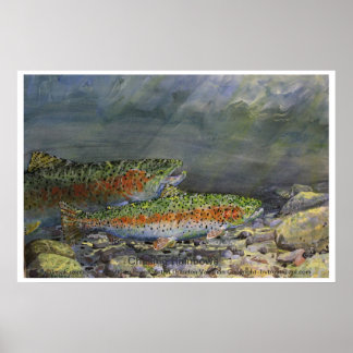 Chasing Rainbows Poster