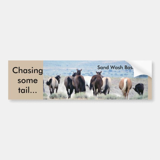 Chasing Tail Bumper Sticker (Front)