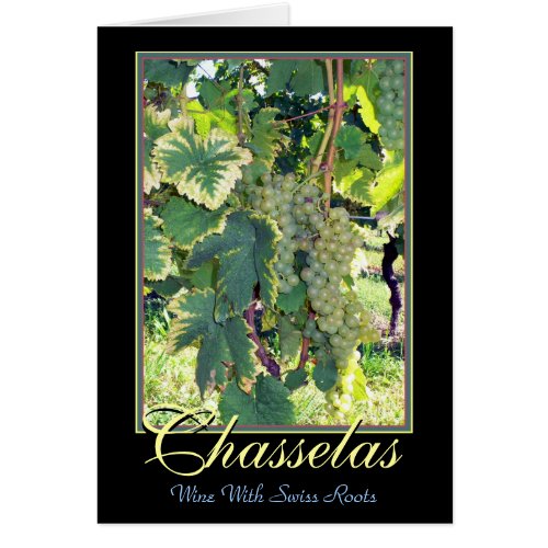 Chasselas _ White Wine with Swiss Roots _ Rolle