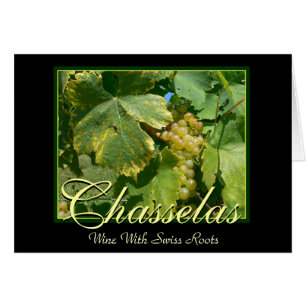 Chasselas Wine Grapes in Mont-Sur-Rolle