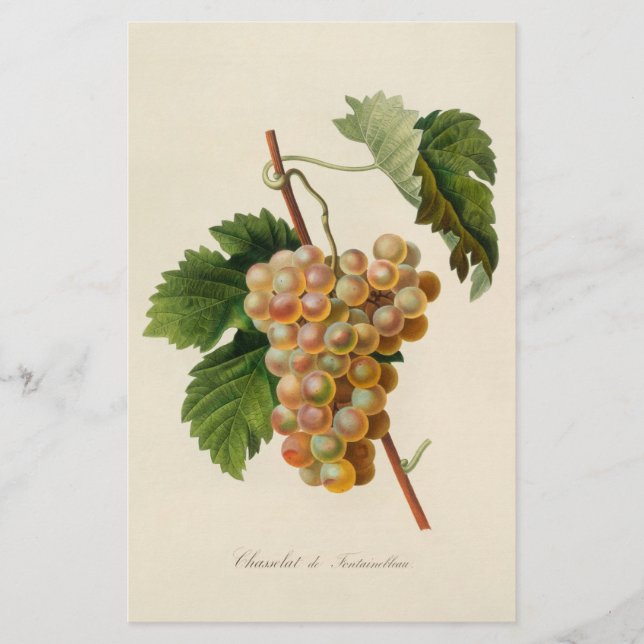 Chasselat de Fontainebleau Stationery (Front)