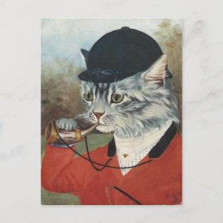 Chat chasseur postcard