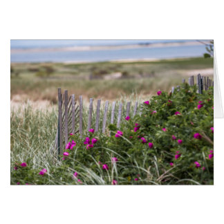 Chatam Light Beach Fence Cards