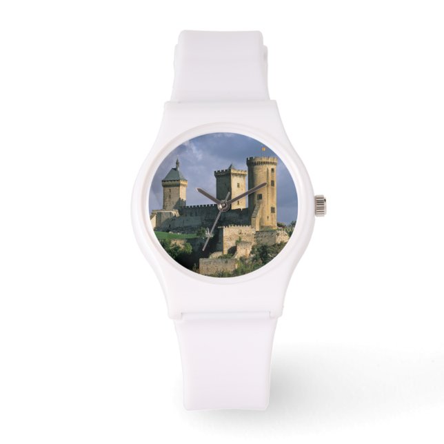 Chateau Comtal Chateau of the Counts of Watch (Front)
