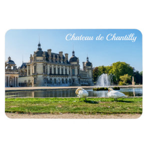 Chateau de Chantilly, fountain and two swans Magnet