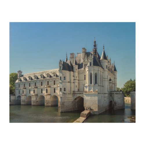 Chateau de Chenonceau in the Loire Valley _ France Wood Wall Art