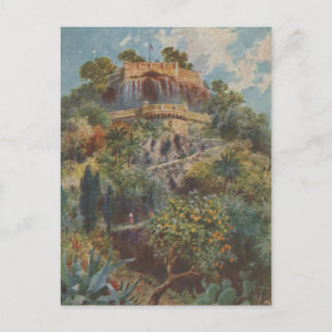 Chateau View Nice France Postcard