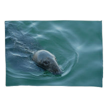 Chatham Grey Seal on Mission