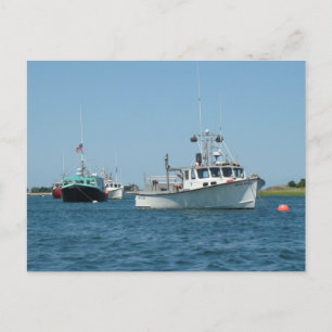 Chatham Harbor Boats Postcard