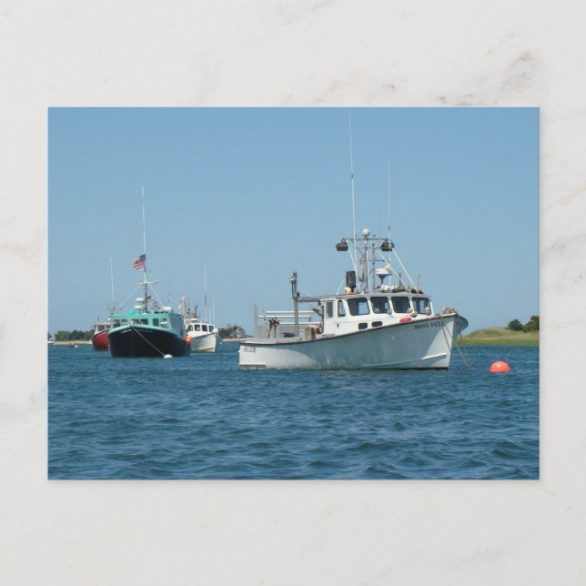 Chatham Harbor Boats Postcard (Front)