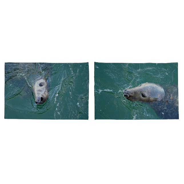 Chatham's Finest Grey Seals Pillow Case (Back-Set)