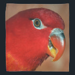 Chattering lory bandana<br><div class="desc">Gifts for the Parrot lover! The chattering lory (Lorius garrulus) is a forest-dwelling parrot endemic to North Maluku, Indonesia. It is considered vulnerable, the main threat being from trapping for the cage-bird trade. It occurs up to 1, 050 m, most commonly in montane forest, rarely in gardens and coconut plantations,...</div>