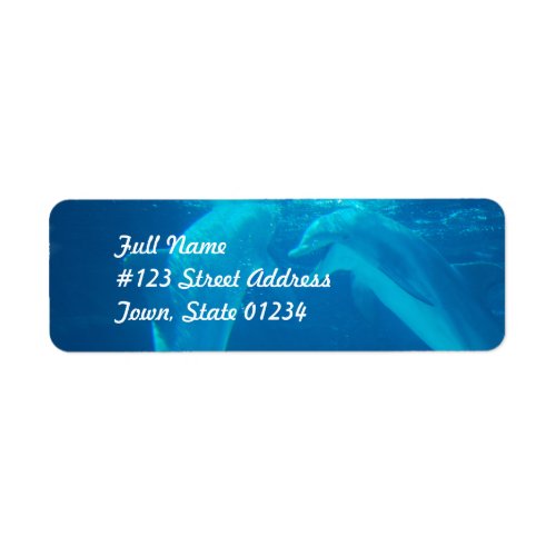 Chatting Dolphin Pair Mailing Labels
