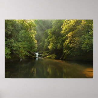 Chattooga River at Dawn Poster