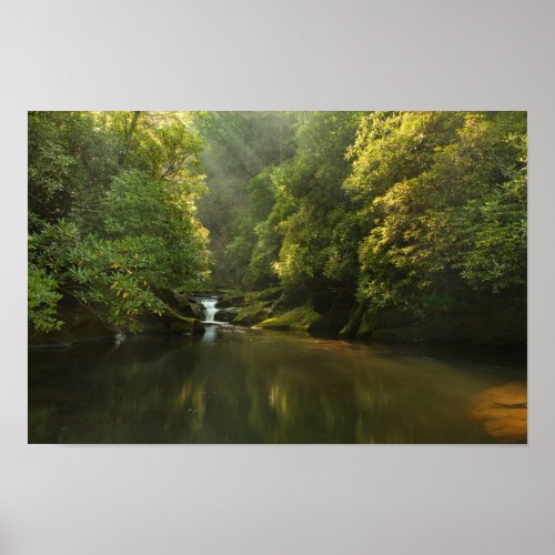 Chattooga River at Dawn Poster