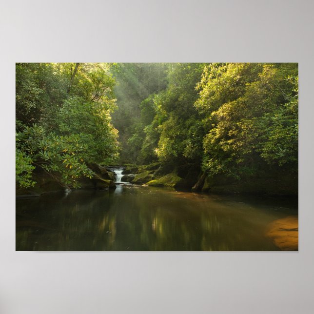 Chattooga River at Dawn Poster (Front)