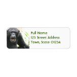 Chatty Chimpanzee Mailing Labels