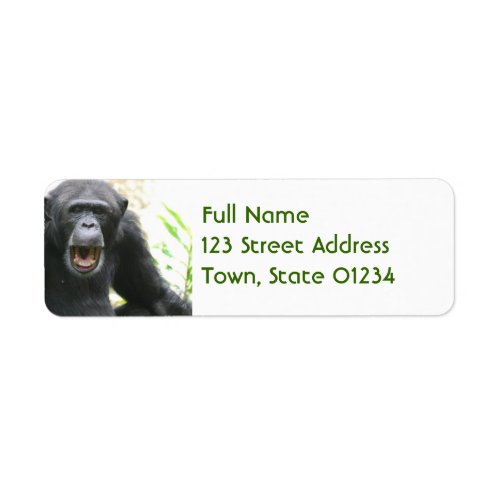 Chatty Chimpanzee Mailing Labels