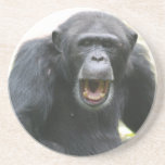 Chatty Chimpanzee Plate Coaster