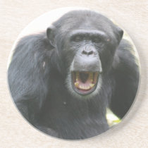 Chatty Chimpanzee Plate Coaster