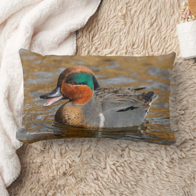 Chatty Green-Winged Teal Duck at Pond Lumbar Pillow (Blanket)
