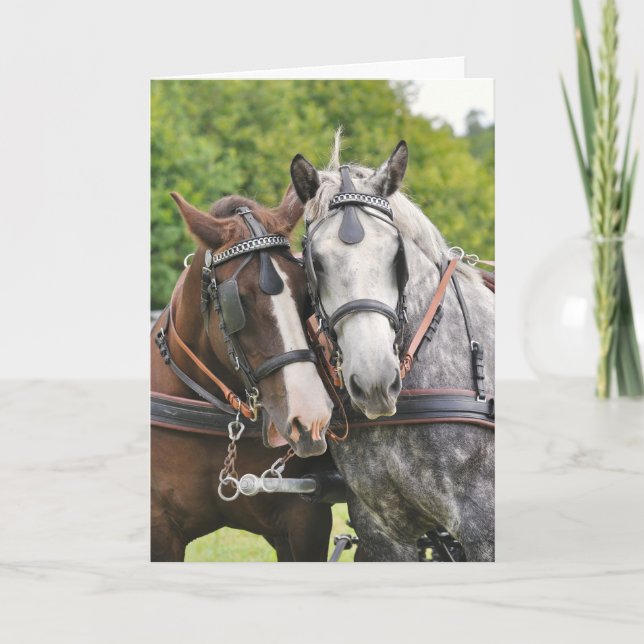 Chatty horses birthday card (Front)
