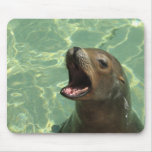 Chatty Sea Lion Mouse Pad