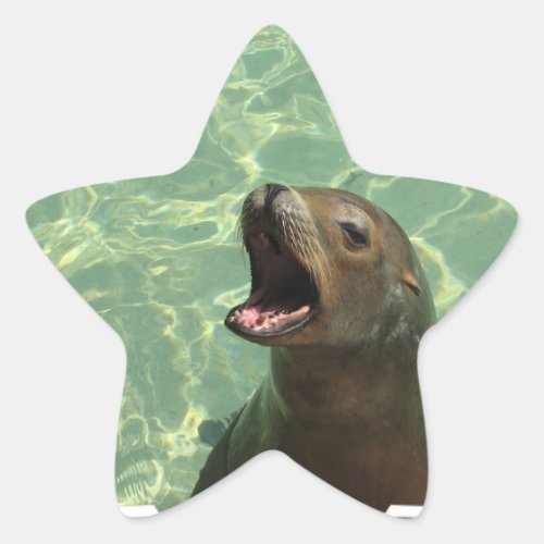 Chatty Sea Lion Sticker