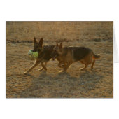 Chauncey & Abie (Front Horizontal)