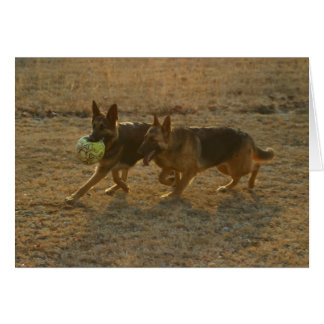 Chauncey & Abie Cards