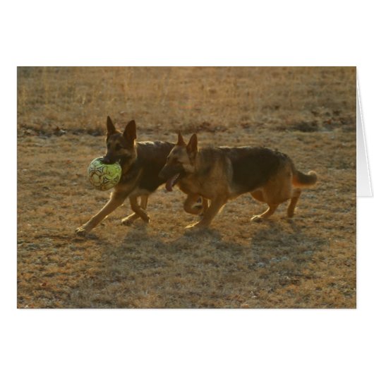 Chauncey & Abie Cards (Front Horizontal)