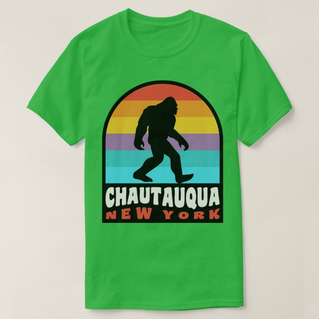 Chautauqua Lake New York NY Retro T-Shirt (Design Front)