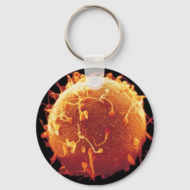 Chaveiro embriologia keychain (Front)
