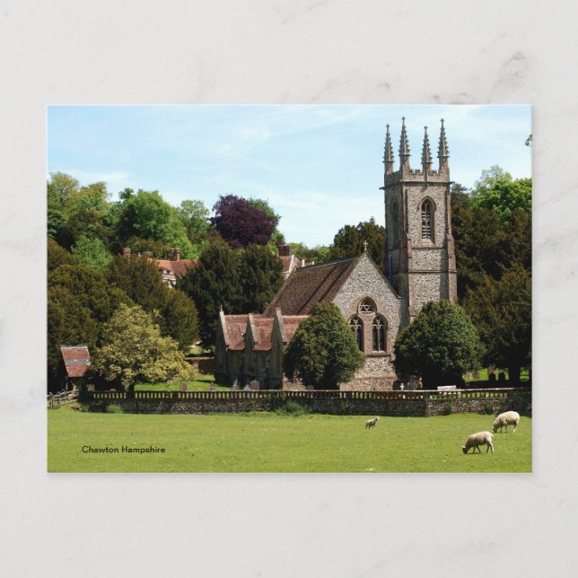 Chawton Hampshire - Sheep beside Church Postcard (Front)