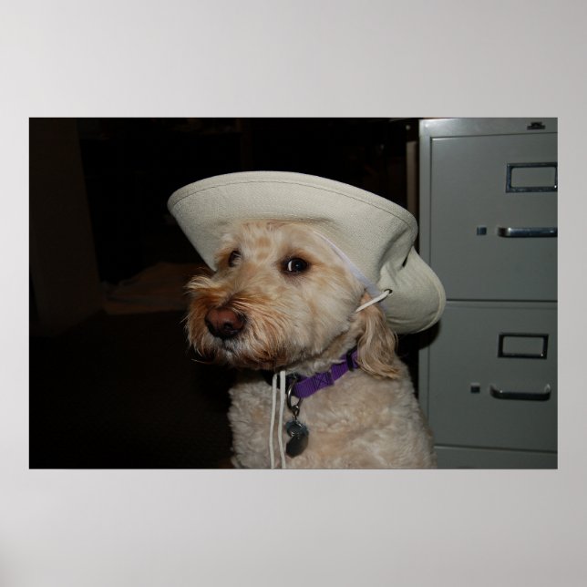 chaz6 poster (Front)