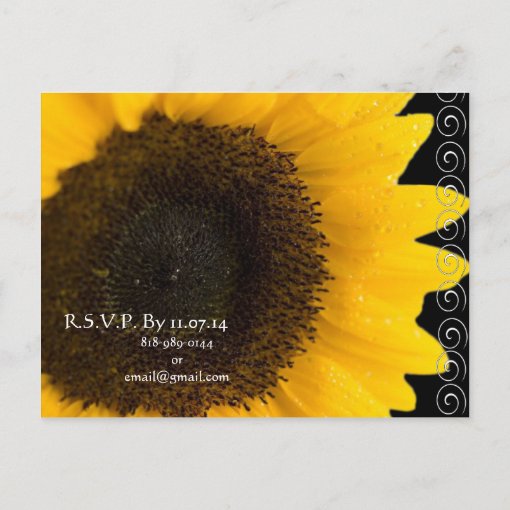 Cheap Wedding Invitation Postcards Zazzle