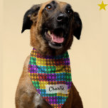 Checker Rainbow Argyle Custom Name Pet Bandana<br><div class="desc">You beloved dog will look so cute and fashionable in this checkers pattern rainbow argyle bandana with their name on it! Great for a canine family member in a LGBTQ household. It's really easy to personalize this yourself right on the platform. Grab a few bandanas for your pup from this...</div>