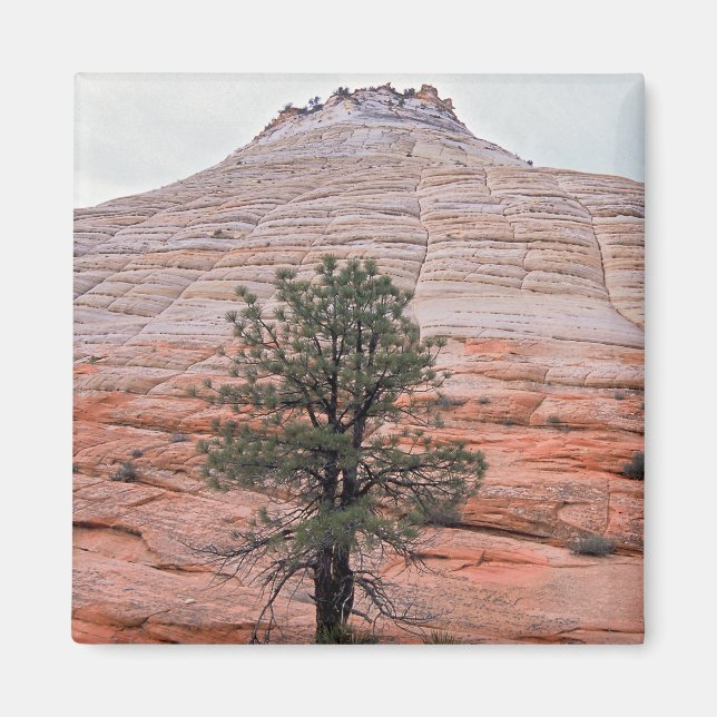 Checkerboard Mesa Magnet (Front)