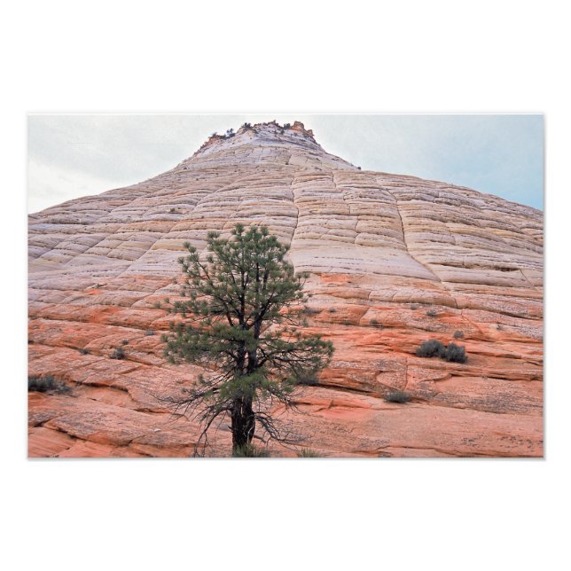Checkerboard Mesa Zion National Park Photo Print (Front)