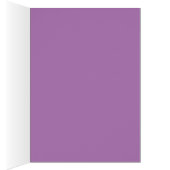 CHECKERED BUTTERFLIES (Inside (Right))