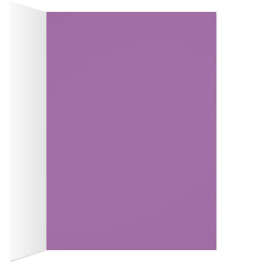 CHECKERED BUTTERFLIES (Inside (Right))