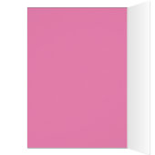 CHECKERED BUTTERFLIES (Inside (Left))