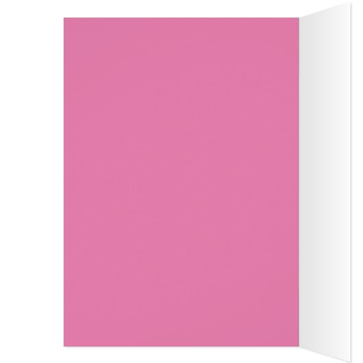 CHECKERED BUTTERFLIES (Inside (Left))