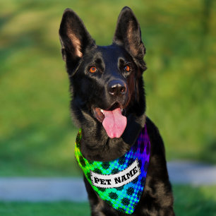 Checkered Wheels by Kenneth Yoncich Pet Bandana Collar