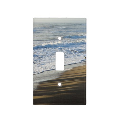 Checking The Shoreline Light Switch Cover