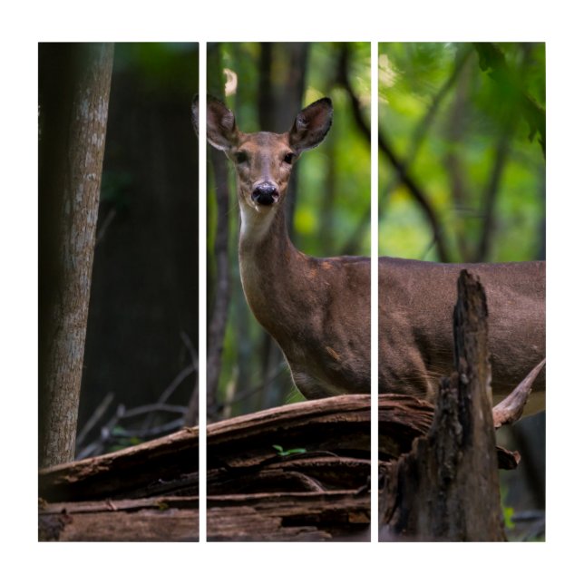 Checking You Out Triptych (Front)