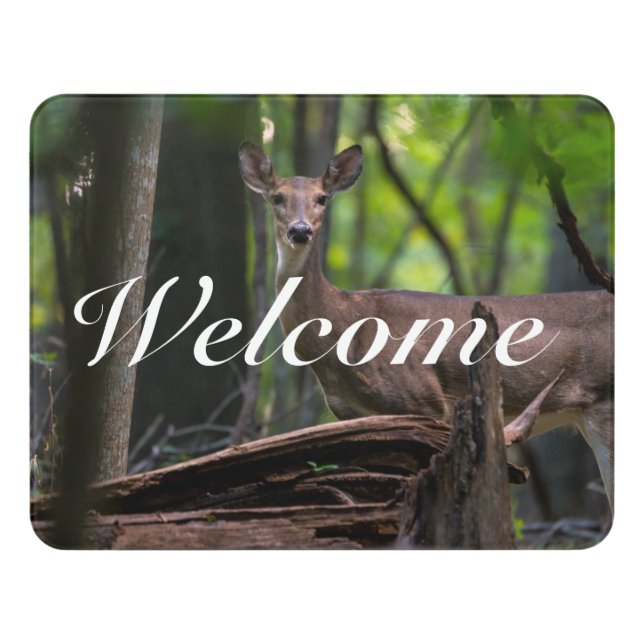 Checking You Out Welcome Door Sign (Contemporary Front)