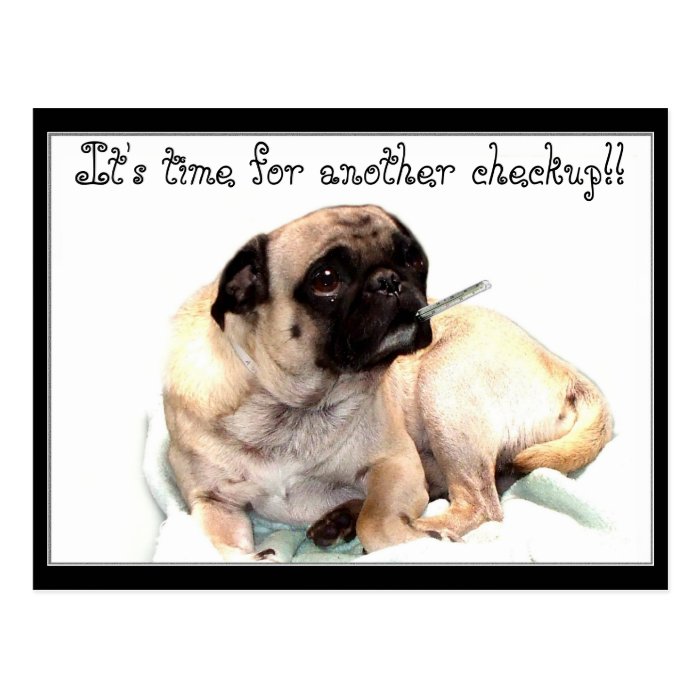 Checkup pug veterinarian reminder postcard