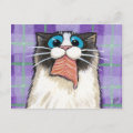 Cheeky Cat Eating Salmon Postcard