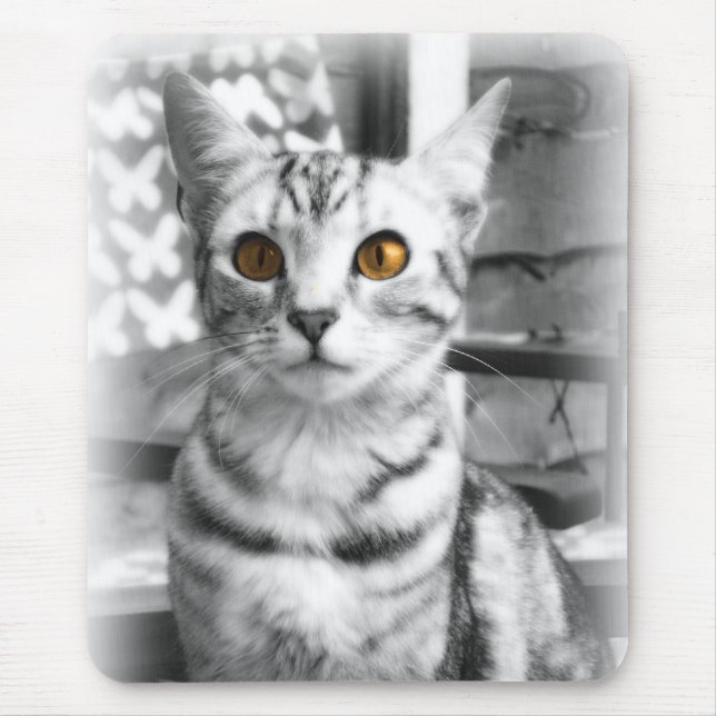 Cheeky Cat Mouse Pad (Front)